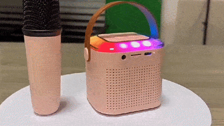Professional Karaoke Bluetooth Speaker