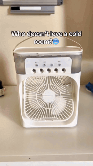 3 in 1 Summer Mini Cooler